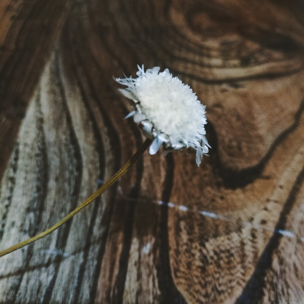 每一天都是生命中的好日子