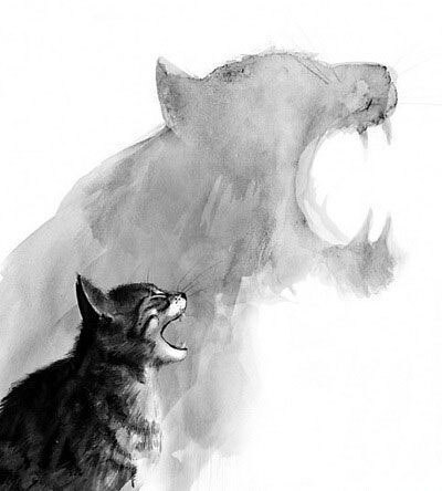 做一只心有猛虎的猫