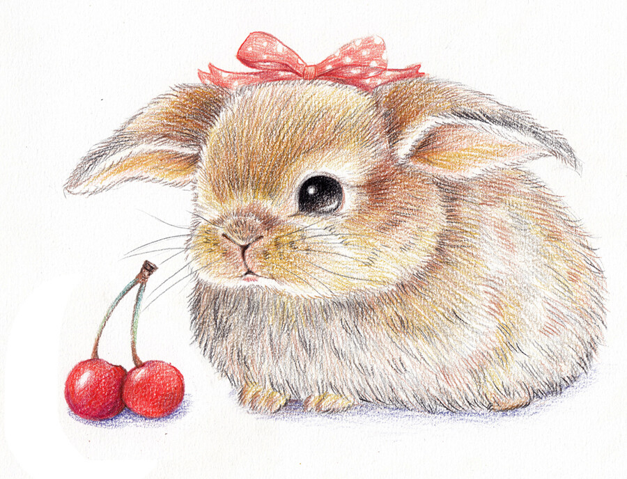 彩铅画手绘兔子