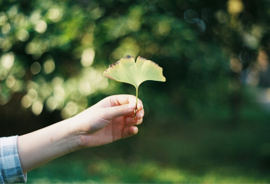 胶片绿色植物一系列杂图