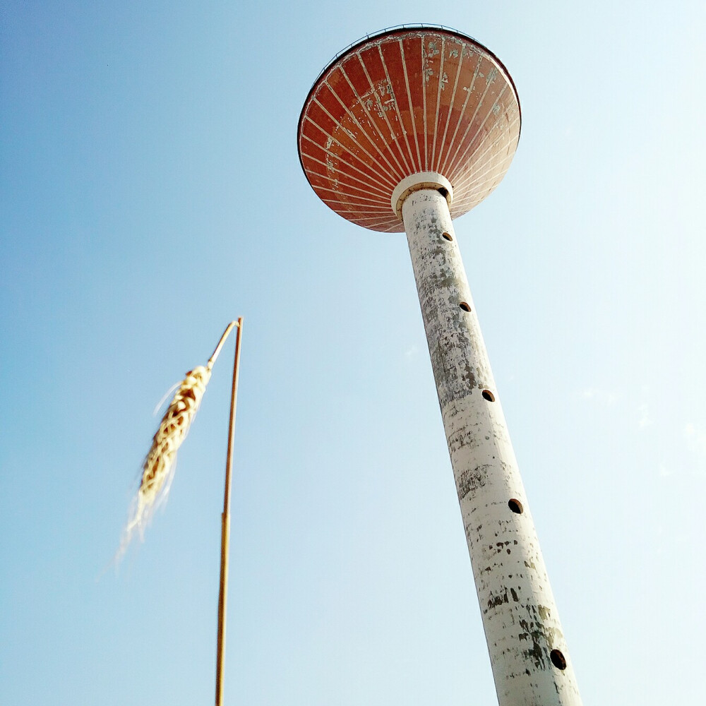 大年里也不全是红的爆竹烟花、红的对联灯笼、红的衣服……还有蓝的天