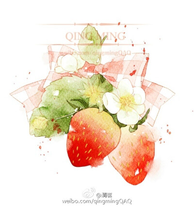 清茗 水彩 淡雅 草莓