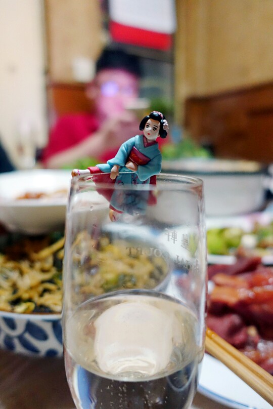 2017.1.29小阿姨家吃饭