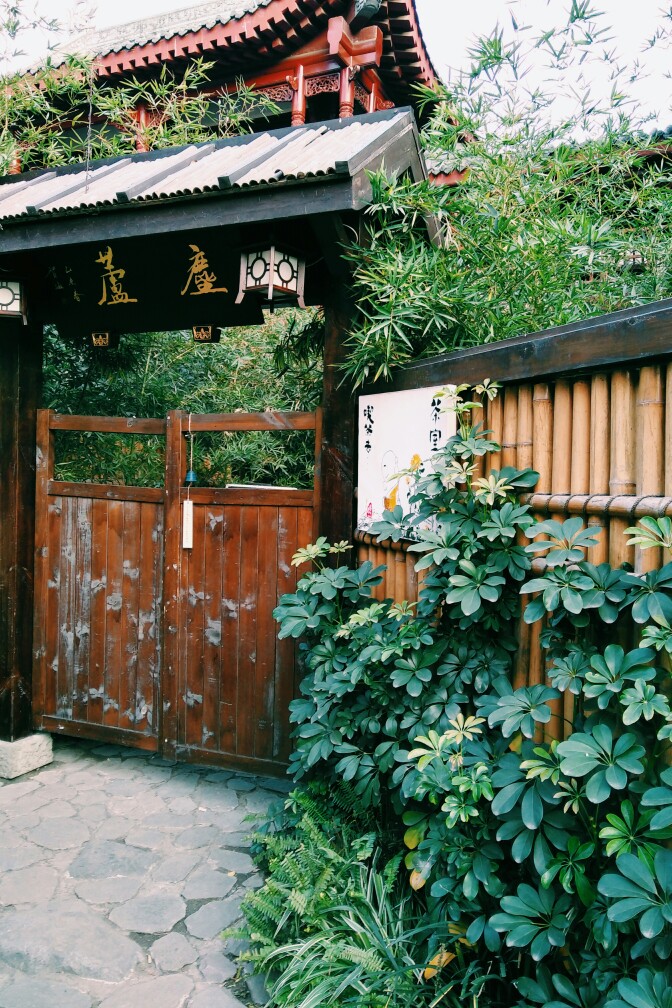 四川 成都 旅游 茶舍 风景