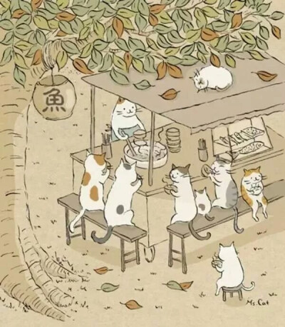 猫猫