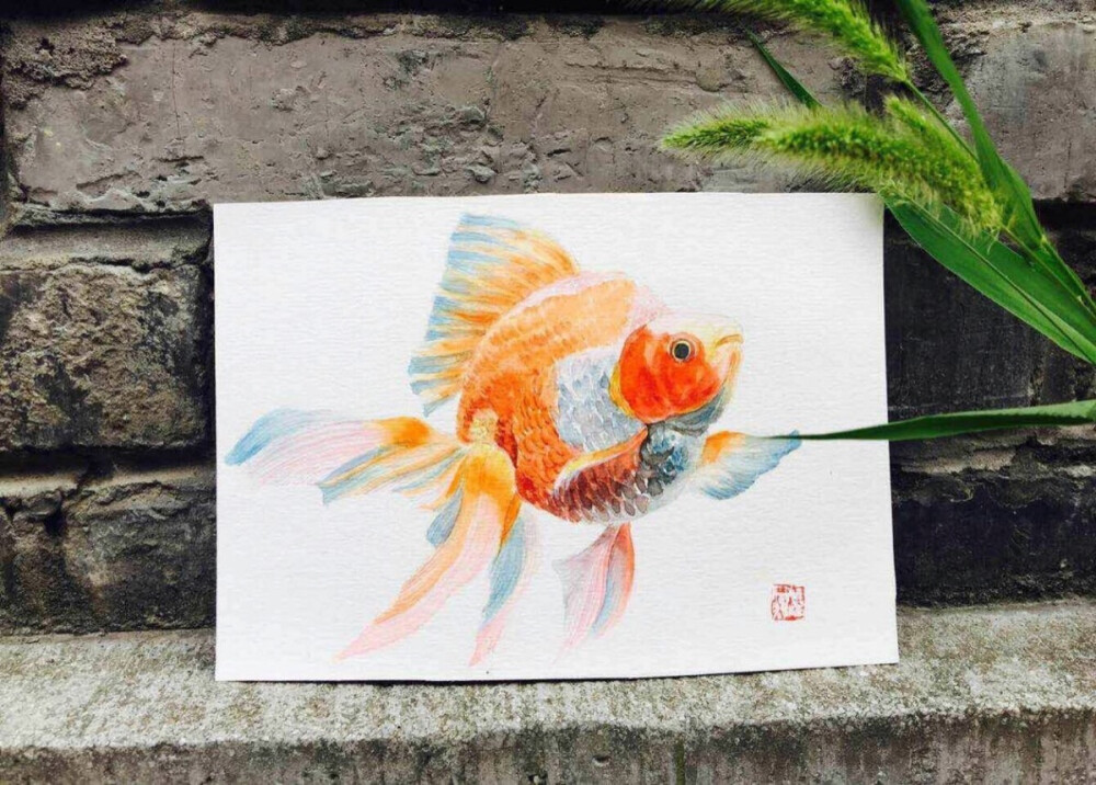 金魚魚水彩手繪