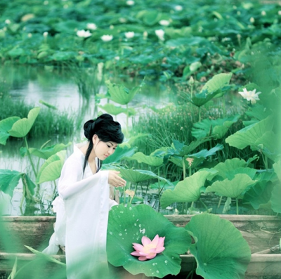 任處池塘，水荷清香，鬱鬱污泥，養我其芳！
自在腰身立沙洲，浮雲閑映碧波心。
採蓮歌中根塵斷，天涯無處不知音。
