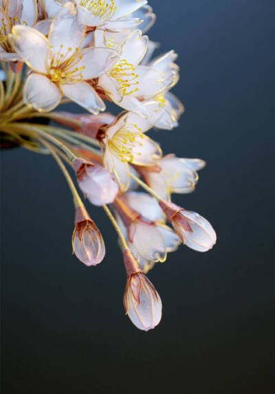 水晶造花液手工