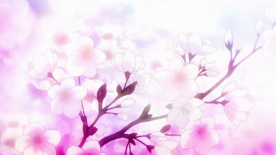 ✿樱花满地集于我心✿