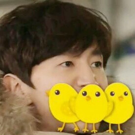 running man 宋智孝 懵智 李光洙 长颈鹿 懵光cp 光洙智孝 情侣头像（微博cr.忆黎酱YiLiJiang）