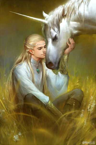 小叶子 legolas