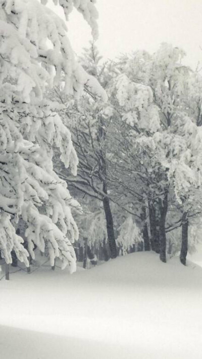 雪景