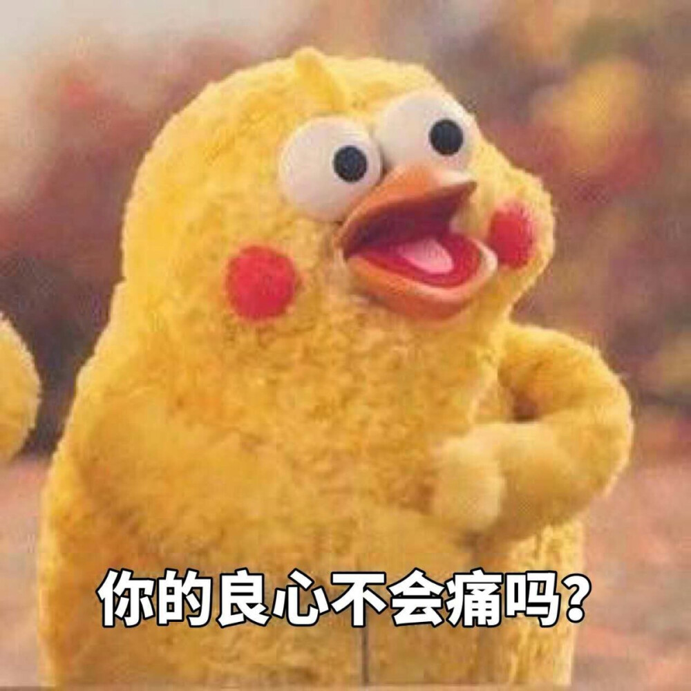 鹦鹉兄弟