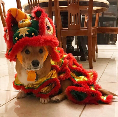 祝大家新年快乐