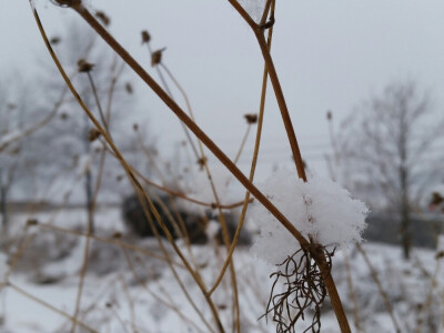 雪后*