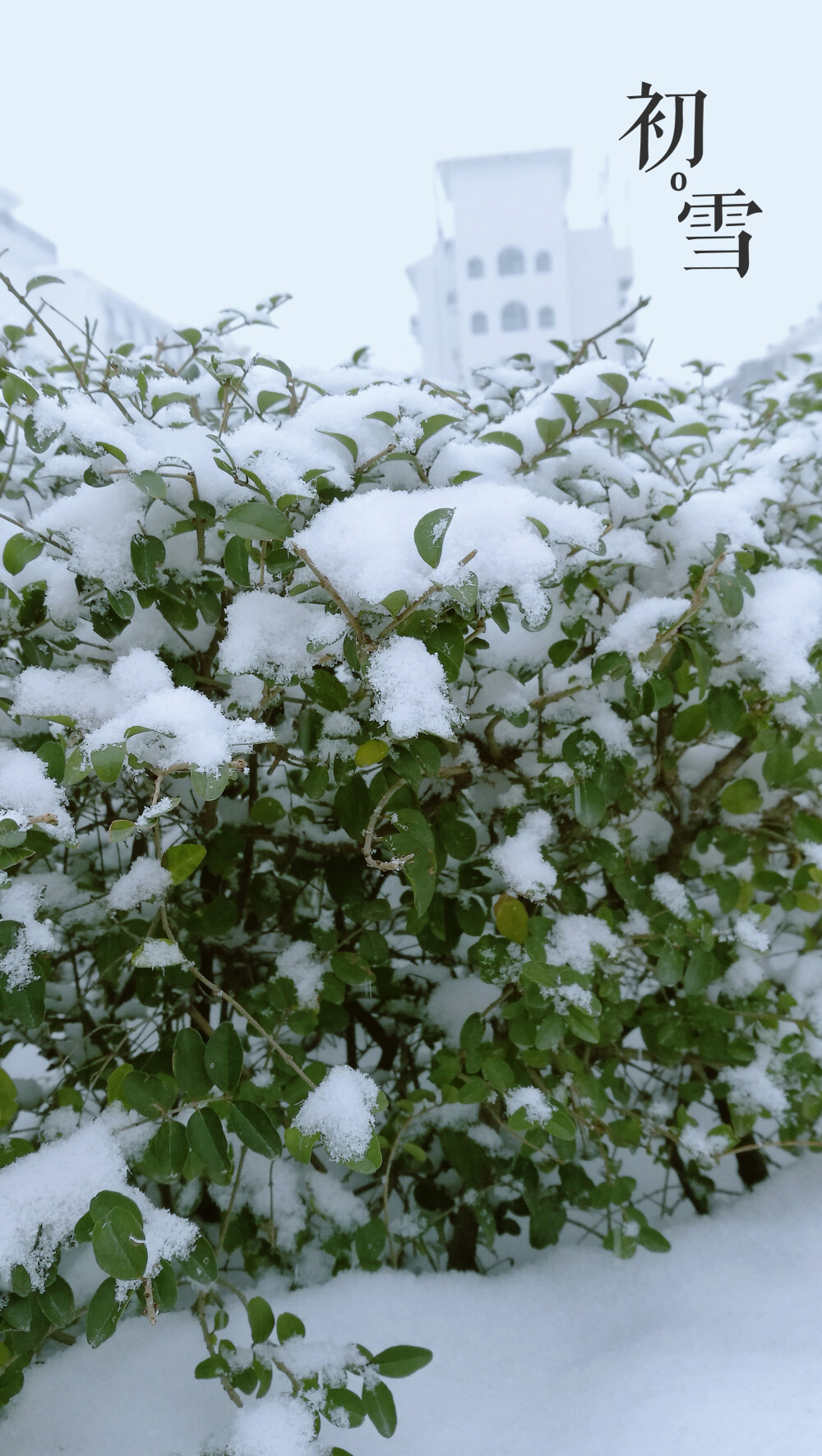 【阿凉杂图无所属壁纸】2017-01-31初雪，摄于河南南阳镇平，照相机：华为P9 PLUS