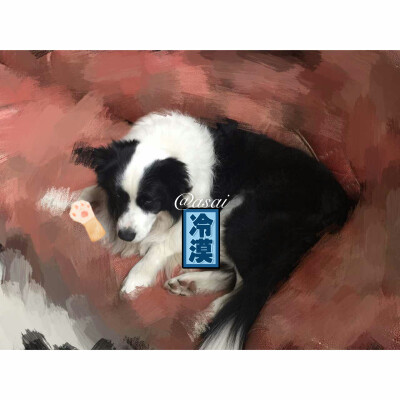 动物 狗狗 德国牧羊犬 关于我家的狗狗 啊颠婆女♡