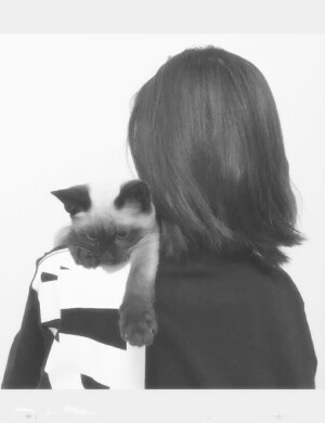 【头像】【萌娃】【萝莉】【情侣】        【男生】【女生】【色系】【欧美】    【壁纸】【森系】【日韩】【合成】     【手绘】【发系】【个性】【卡通】    【动漫】【插画】【黑白】【搞怪】    【欧美】     by:弟弟书俊