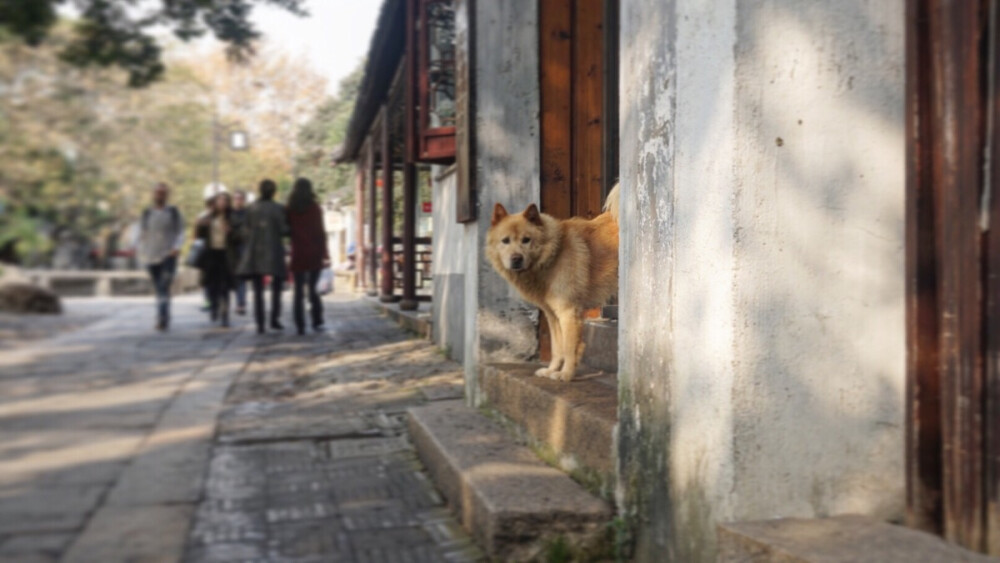 苏州 平江路