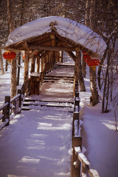 中国雪乡，走过这样的步行栈道吗？