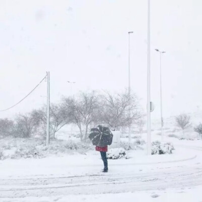 小清新简约锁屏壁纸