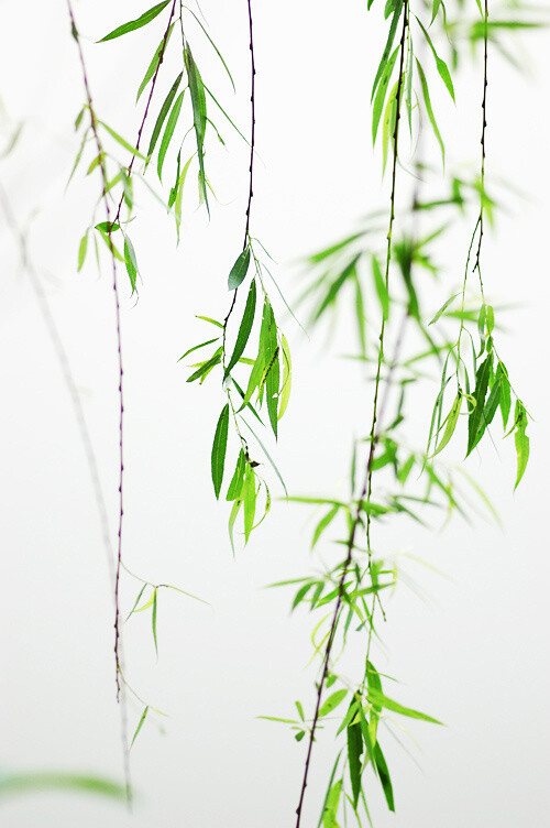 赞评论7更多所有评论你也来说些什么吧