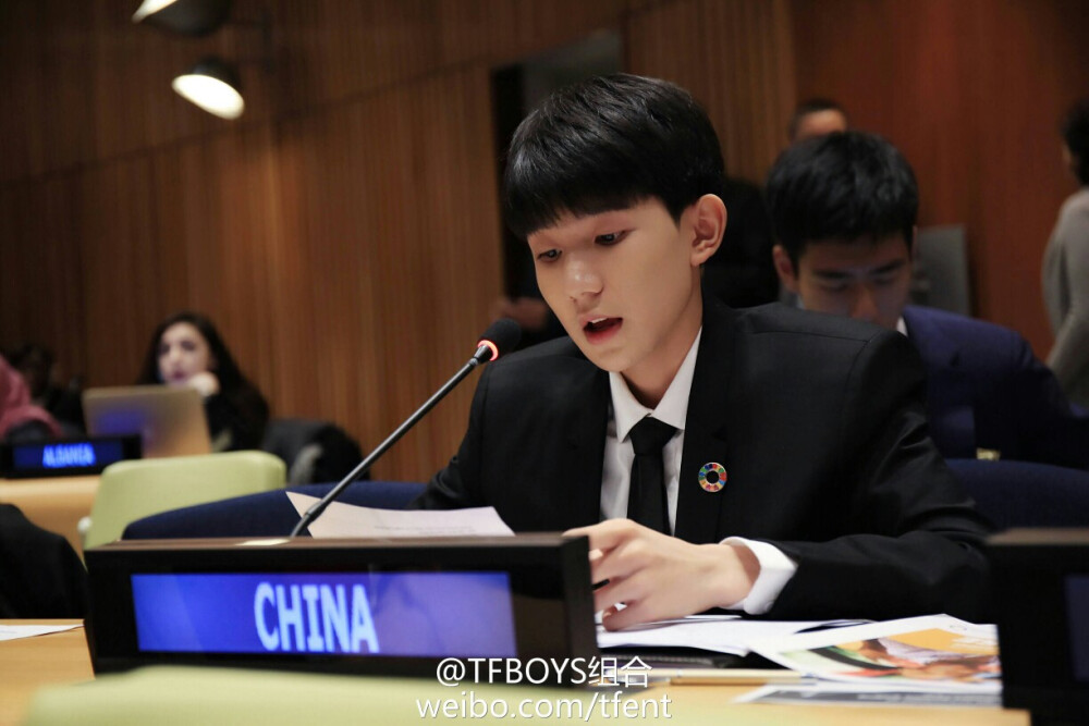 tfboys roy 王源 纽约联合国青年峰会