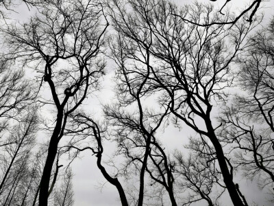 hometown&寒风刺骨