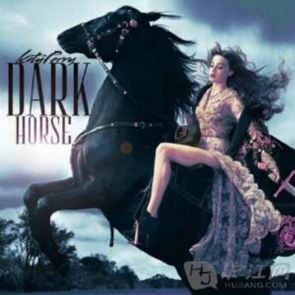 《Dark Horse》的创作灵感来源于美国超自然惊悚电影《魔女游戏》《Dark Horse》是凯蒂·佩里第九支登上美国公告牌百强单曲榜冠军的单曲，于2014年2月8日在该排行榜单拿下第一名并夺得4周冠军。2014年，《Dark Horse》获得第42届全美音乐奖“年度最佳单曲” 歌曲：Dark horse 歌手：Katy Perry/Juicy J