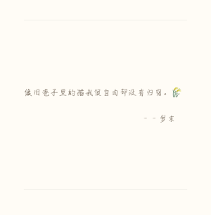 “像旧巷子里的猫我很自由却没有归宿。”