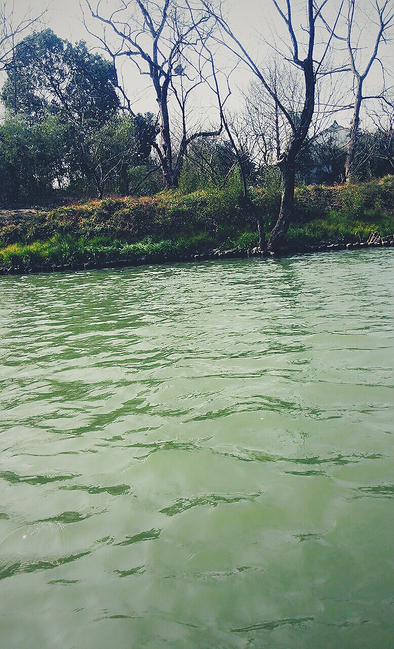 杭州西溪湿地 手机壁纸