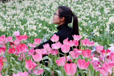 在漳州，有个东南花都，叫花博园。漳州三宝之一的凌波仙子，又名水仙花，形美香郁，清秀典雅。它既是中国十大传统名花之一，又是福建的省花、漳州的市花，有着“天下水仙数漳州”之美誉。