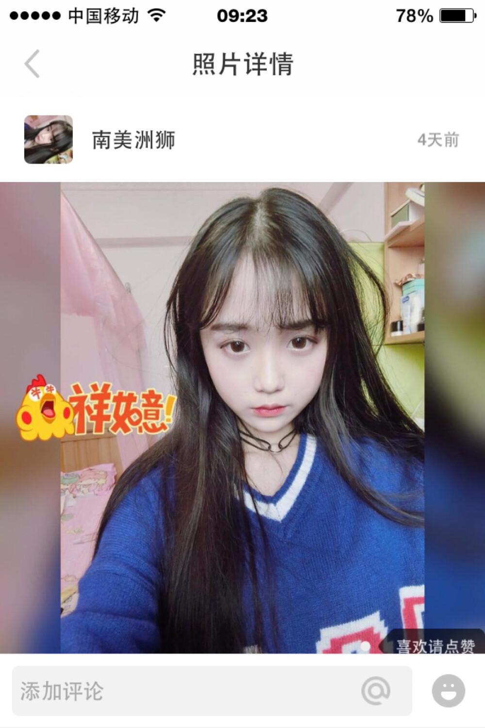 nice ID：南美洲狮