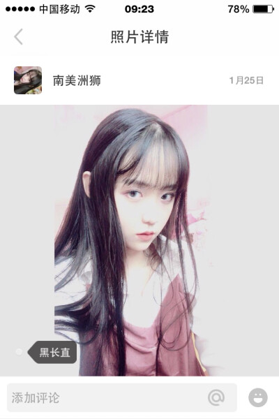 nice ID：南美洲狮