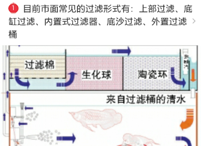 过滤