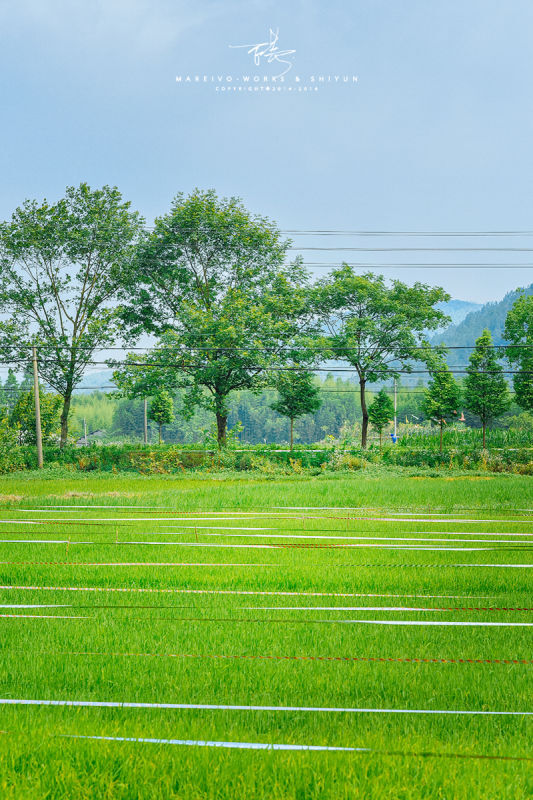 璞心农场