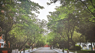 学校风景