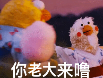 gif系列表情包需要可以私信我