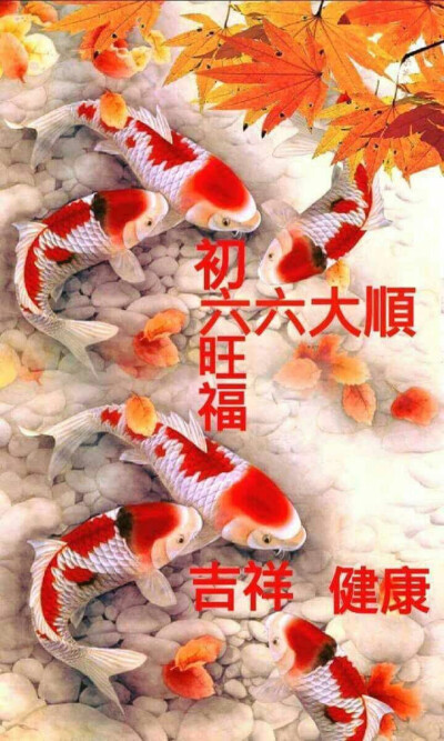 新年快乐 吉祥如意
正月初六