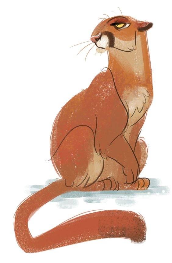 插画师heathernesheim作品动物绘画