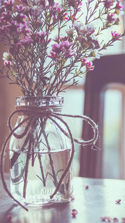 冬日暖阳，爱壁纸平铺锁屏可爱小清新