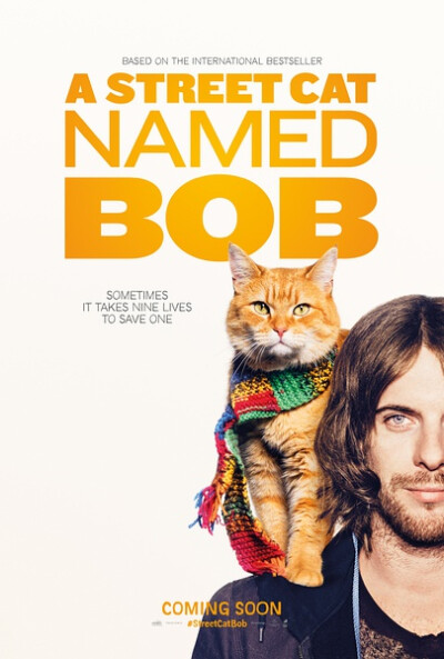 【流浪猫鲍勃 A Street Cat Named Bob】没想到还真挺感动的，生活需要有希望.