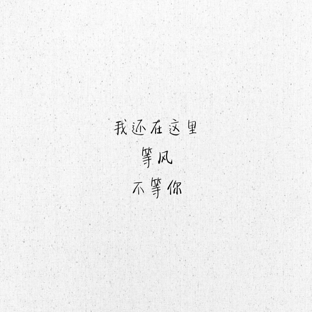 我还在这里等风不等你