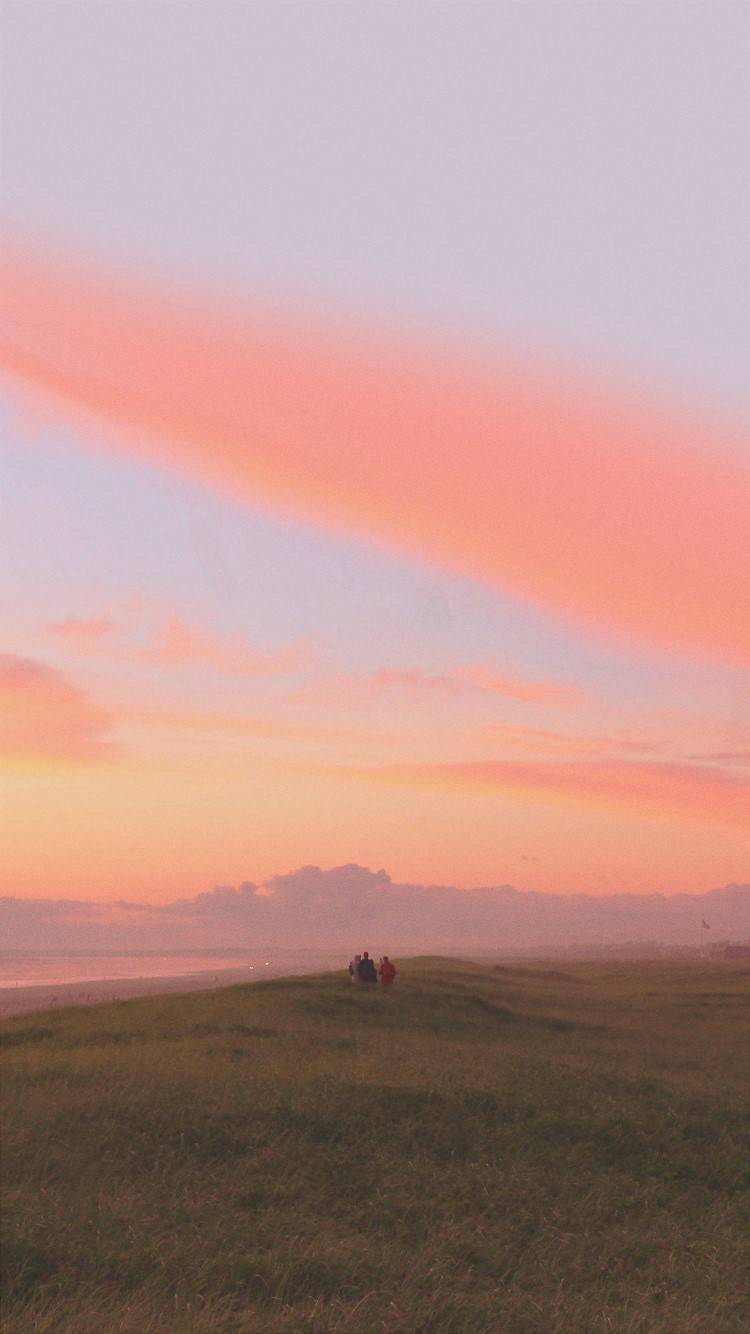 粉色 天空 壁纸