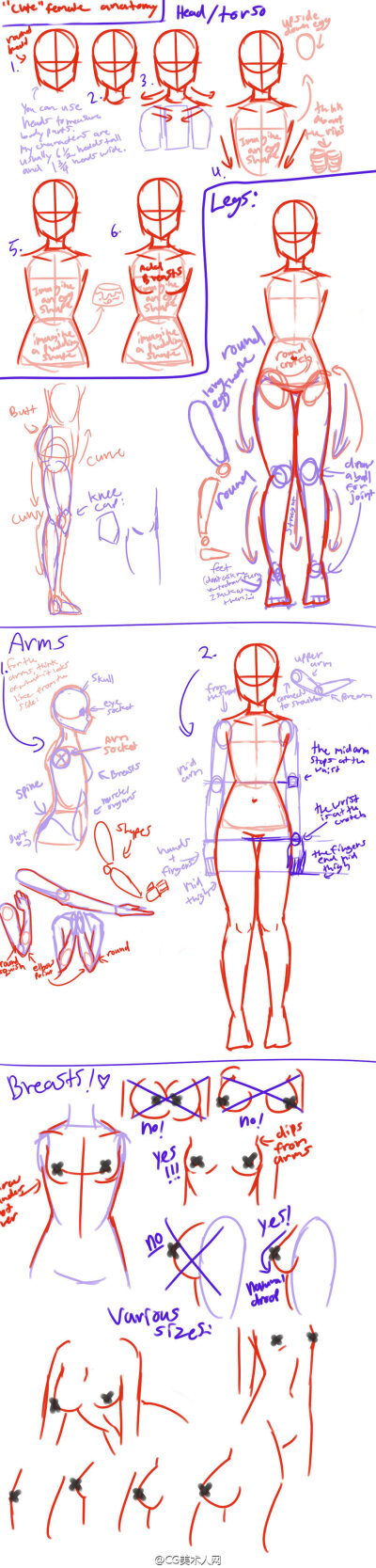 人体画法参考 ​​​​