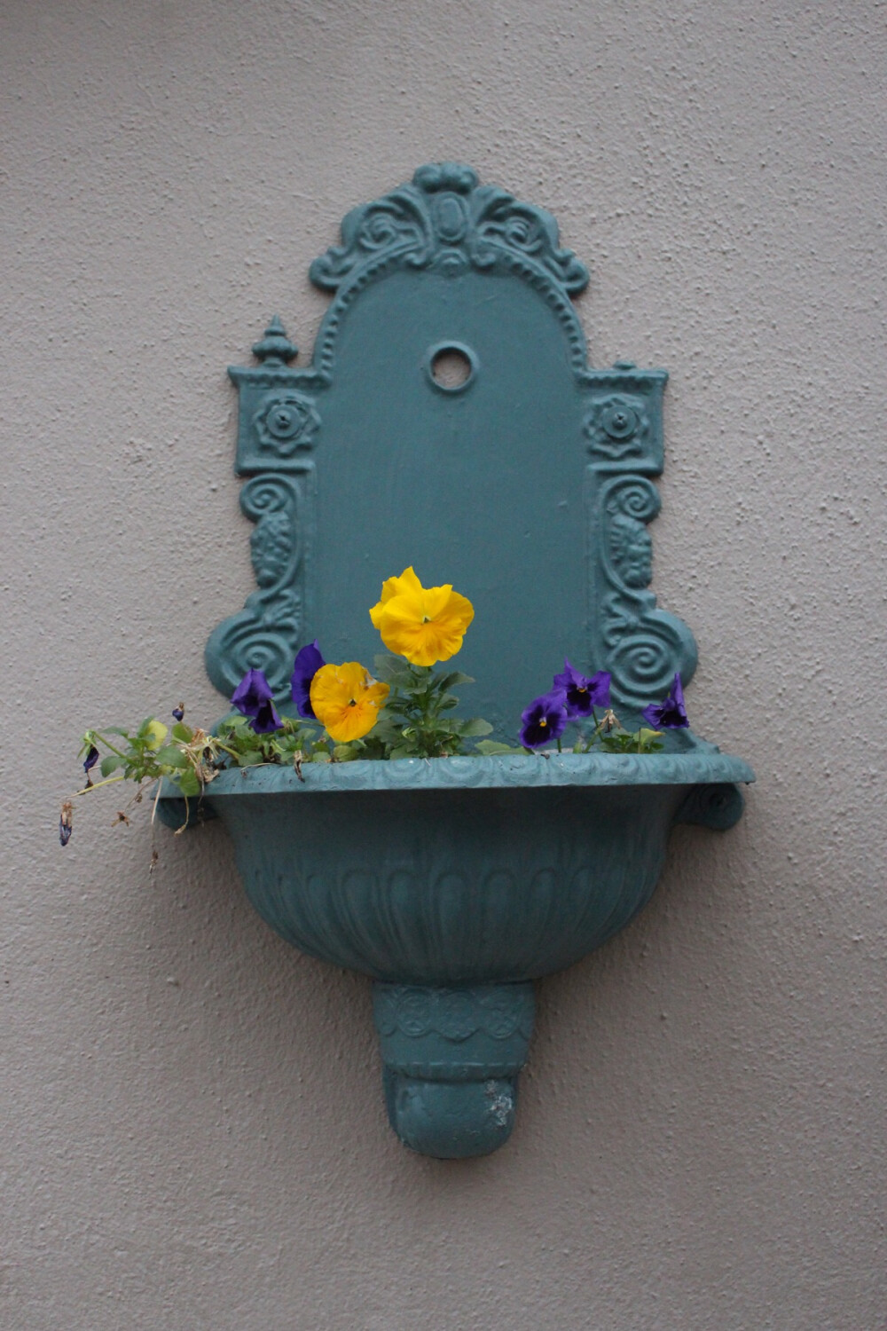 Flowers. Photo by Jiali Chen at Mulberry Street, Macon, GA USA.