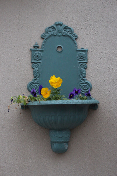 Flowers. Photo by Jiali Chen at Mulberry Street, Macon, GA USA.