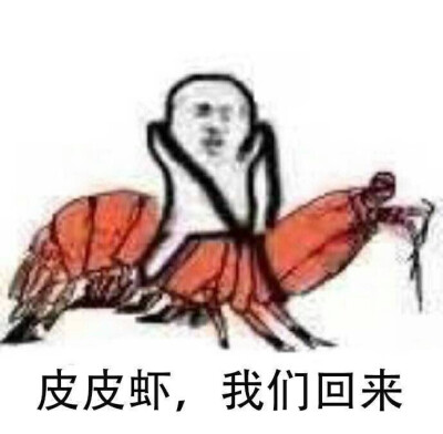 皮皮虾 我们回来！！