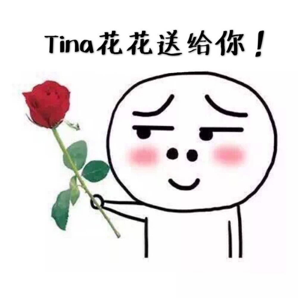 Tina的表情包