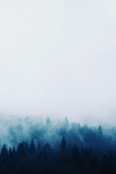 【天空】【蓝色】【清新】【白云】【森林】